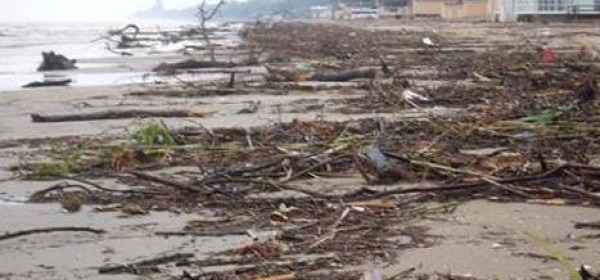 La spiaggia di Pineto dopo il passaggio di Venere