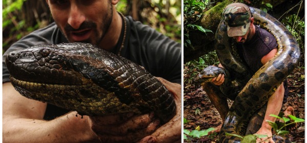 Paul Rosolie e l'anaconda