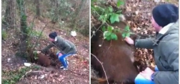 Ugo, il cinghiale che ama i grattini