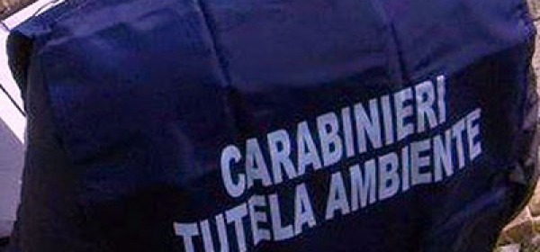 Carabinieri Noe