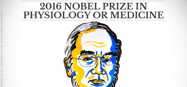 The 2016 NobelPrize Medicine awarded to Yoshinori Ohsumi
