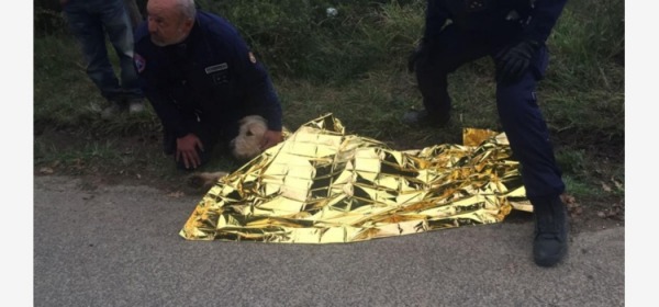 cane trascinato con l’auto