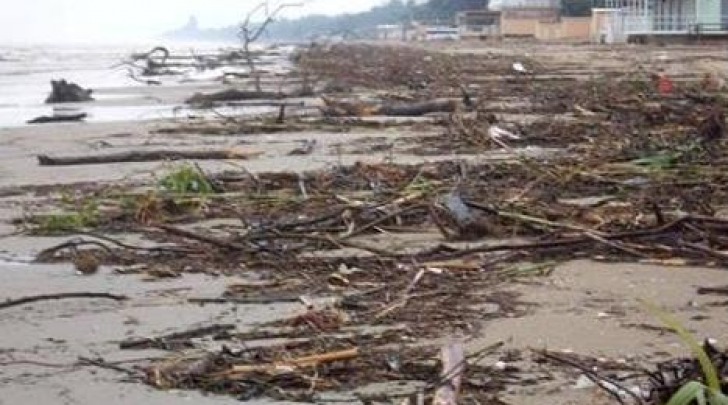 La spiaggia di Pineto dopo il passaggio di Venere